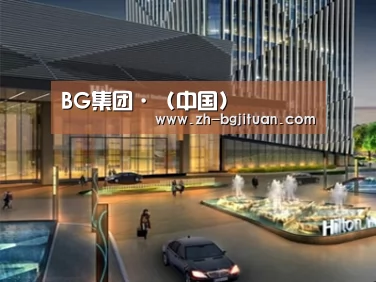 案例展示二(图1)