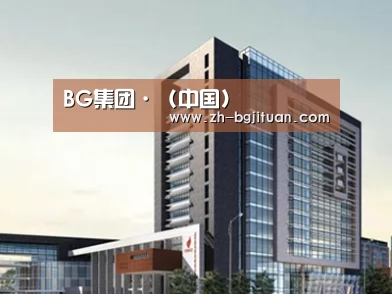 案例展示七(图1)