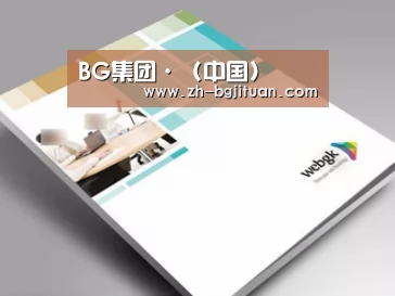 项目名称九