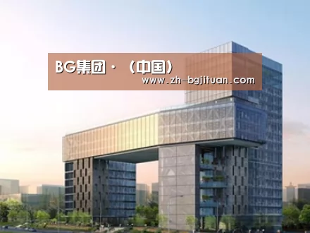 案例展示四