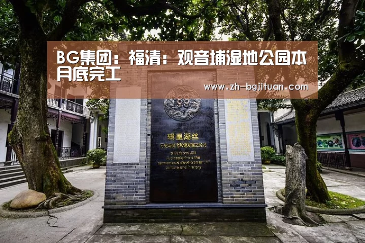 BG集团