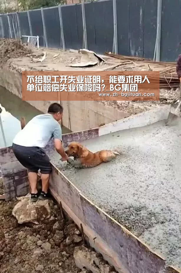 不给职工开失业证明,能要求用人单位赔偿失业保险吗?_BG集团(图1) BG集团