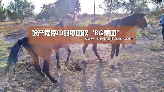 破产程序中的取回权‘BG集团’(图2) BG集团