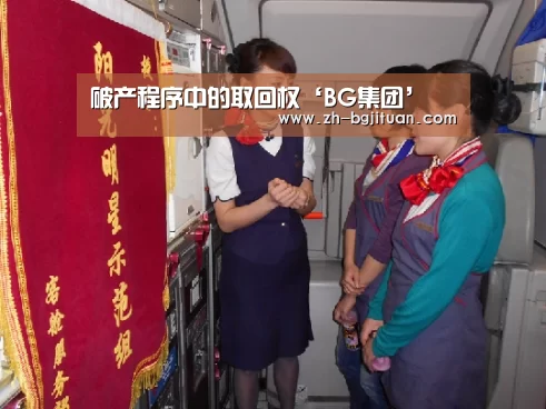 破产程序中的取回权‘BG集团’(图1) BG集团