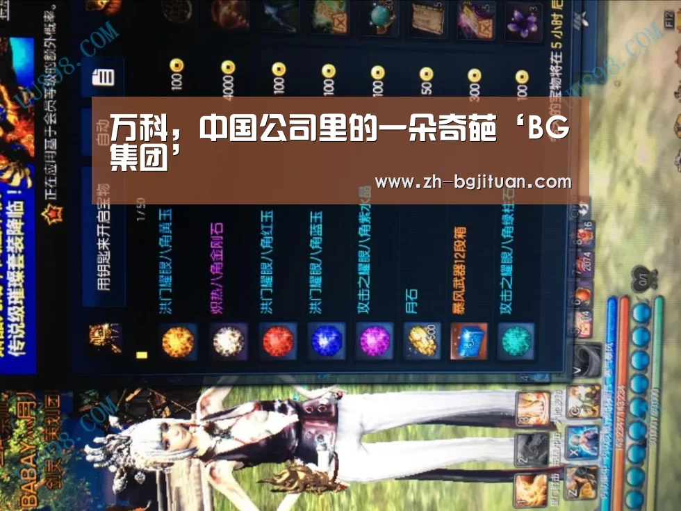 万科,中国公司里的一朵奇葩‘BG集团’(图1) BG集团
