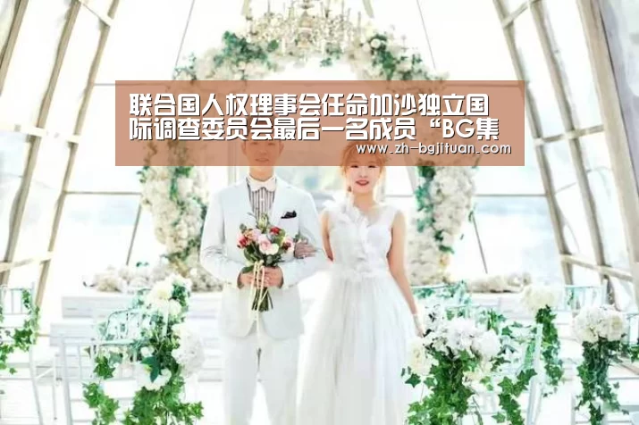 联合国人权理事会任命加沙独立国际调查委员会最后一名成员“BG集团”(图2) BG集团