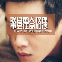联合国人权理事会任命加沙独立国际调查委员会最后一名成员“BG集团”(图1) BG集团
