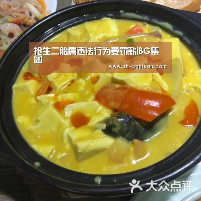 抢生二胎属违法行为要罚款|BG集团(图1) BG集团