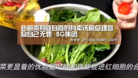 赴前南刑庭自首的科索沃前总理宣称自己无罪-BG集团(图4) BG集团
