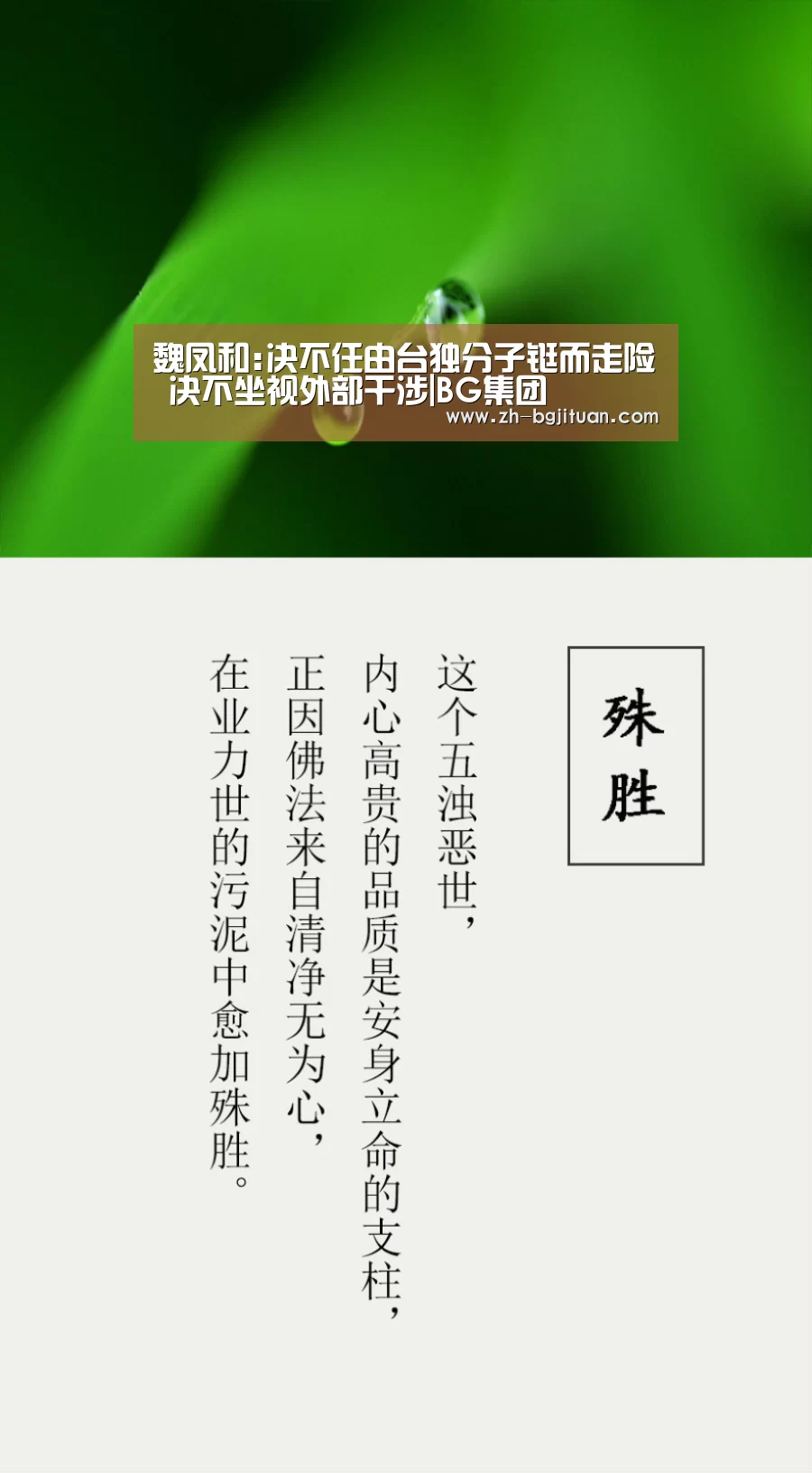 魏凤和:决不任由台独分子铤而走险 决不坐视外部干涉|BG集团(图1) BG集团