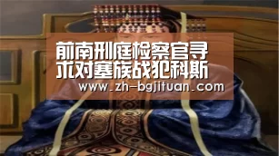 前南刑庭检察官寻求对塞族战犯科斯迪奇加刑“BG集团”(图2) BG集团