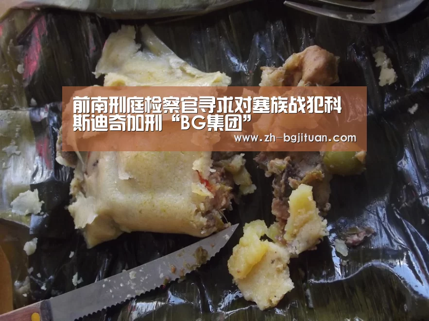 前南刑庭检察官寻求对塞族战犯科斯迪奇加刑“BG集团”(图4) BG集团