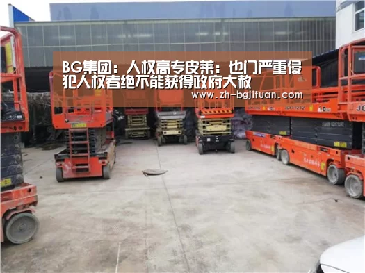 BG集团:人权高专皮莱:也门严重侵犯人权者绝不能获得政府大赦(图1) BG集团