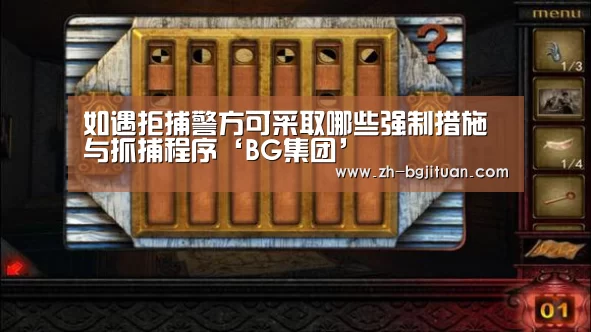 如遇拒捕警方可采取哪些强制措施与抓捕程序‘BG集团’(图1) BG集团